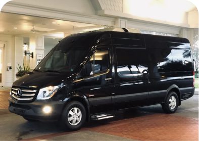 Black Mercedes-Benz van parked outside building.